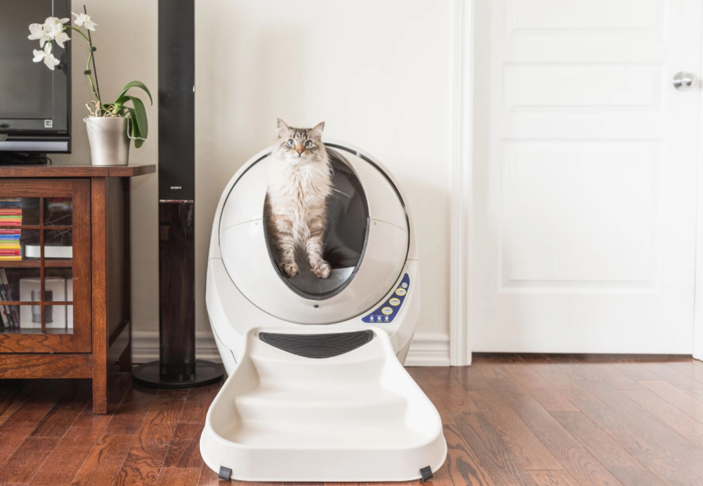Robot litière : litière automatique et autonettoyante pour chat