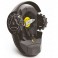 Nettoyeur de Carter de Coupe pour RX et RT