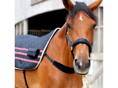 EZIHORSE® BACK PRO