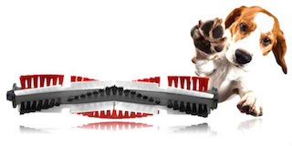 brosse e.zipets