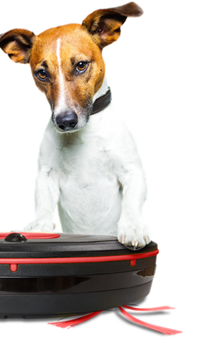 aspirateur robot PETS animaux