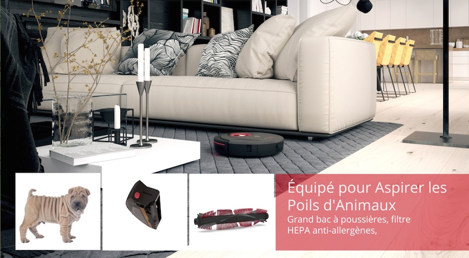 nettoyage poils d'animaux nettoyage poils d'animaux